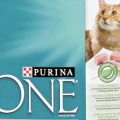 Purina ONE Cat Food Review